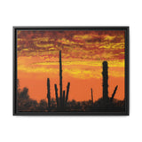 Desert Evening 18x24